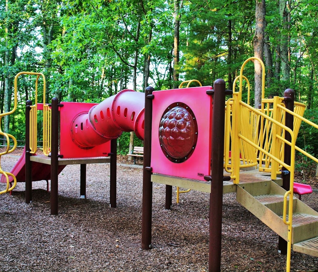 Turkey Swamp Park 5